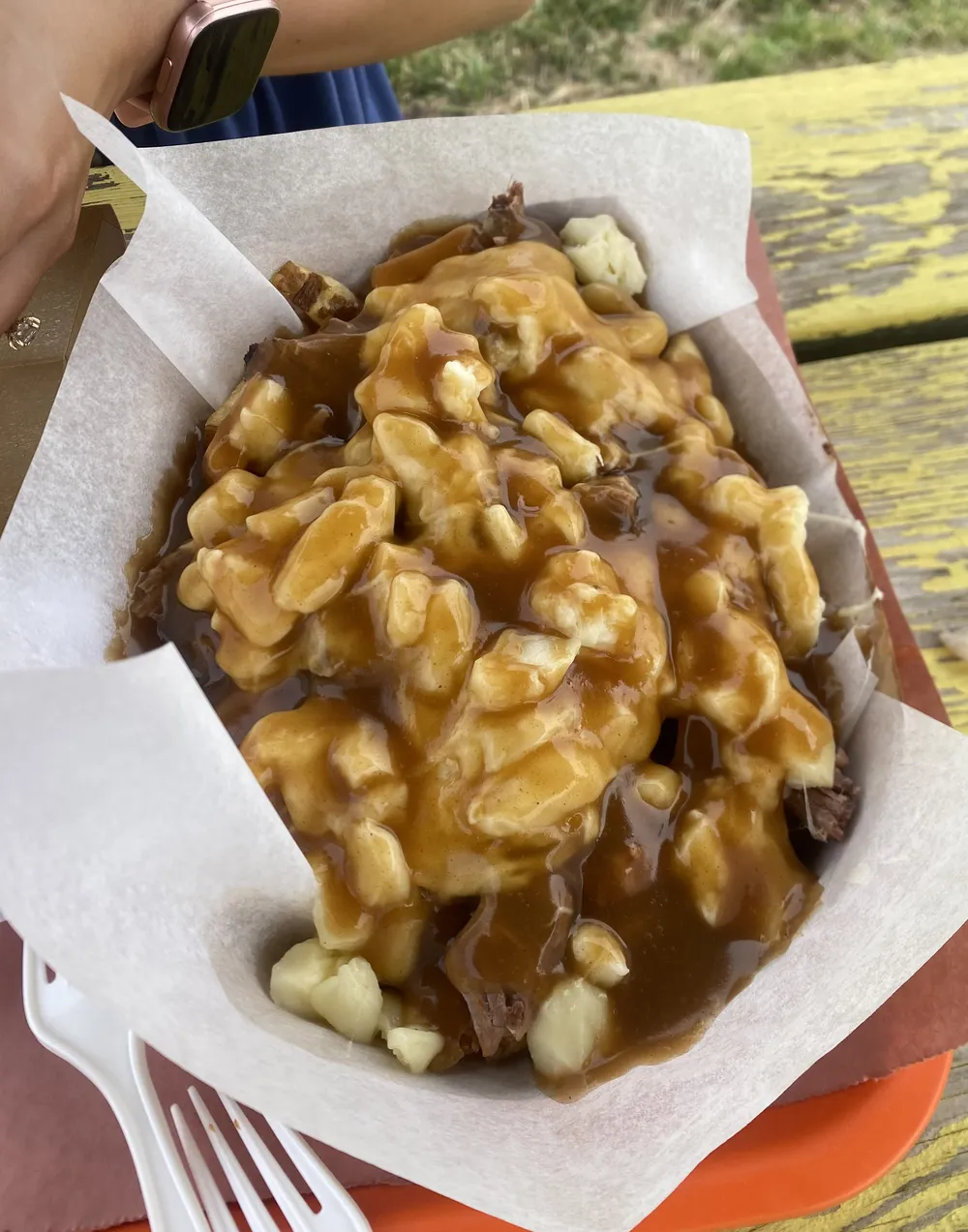 Brisket poutine with gravy and cheese curds